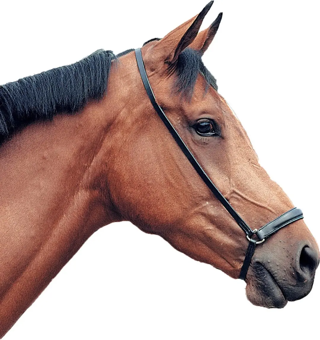 Pagony Lage Neusriem Pony - Bruin Leer