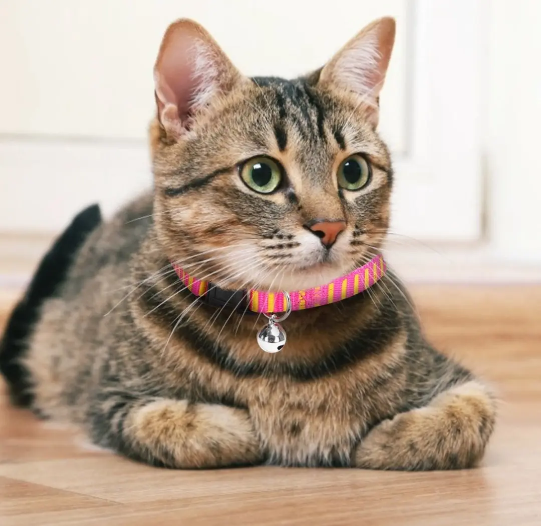 Nobleza Kattenhalsband 20-30cm - Roze/Geel
