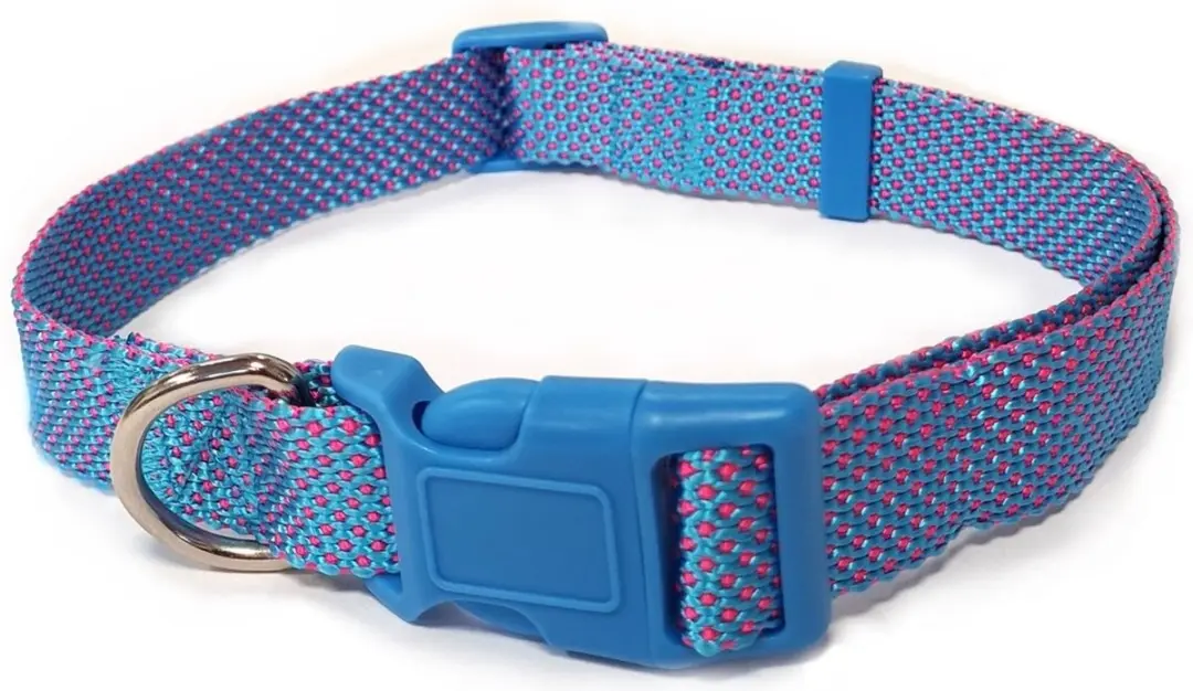 Nobleza Hondenhalsband Nylon