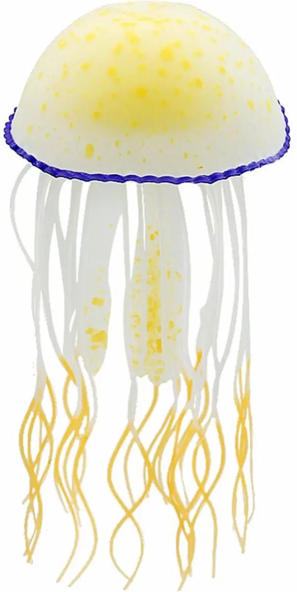 Nobleza Aquarium Kwal