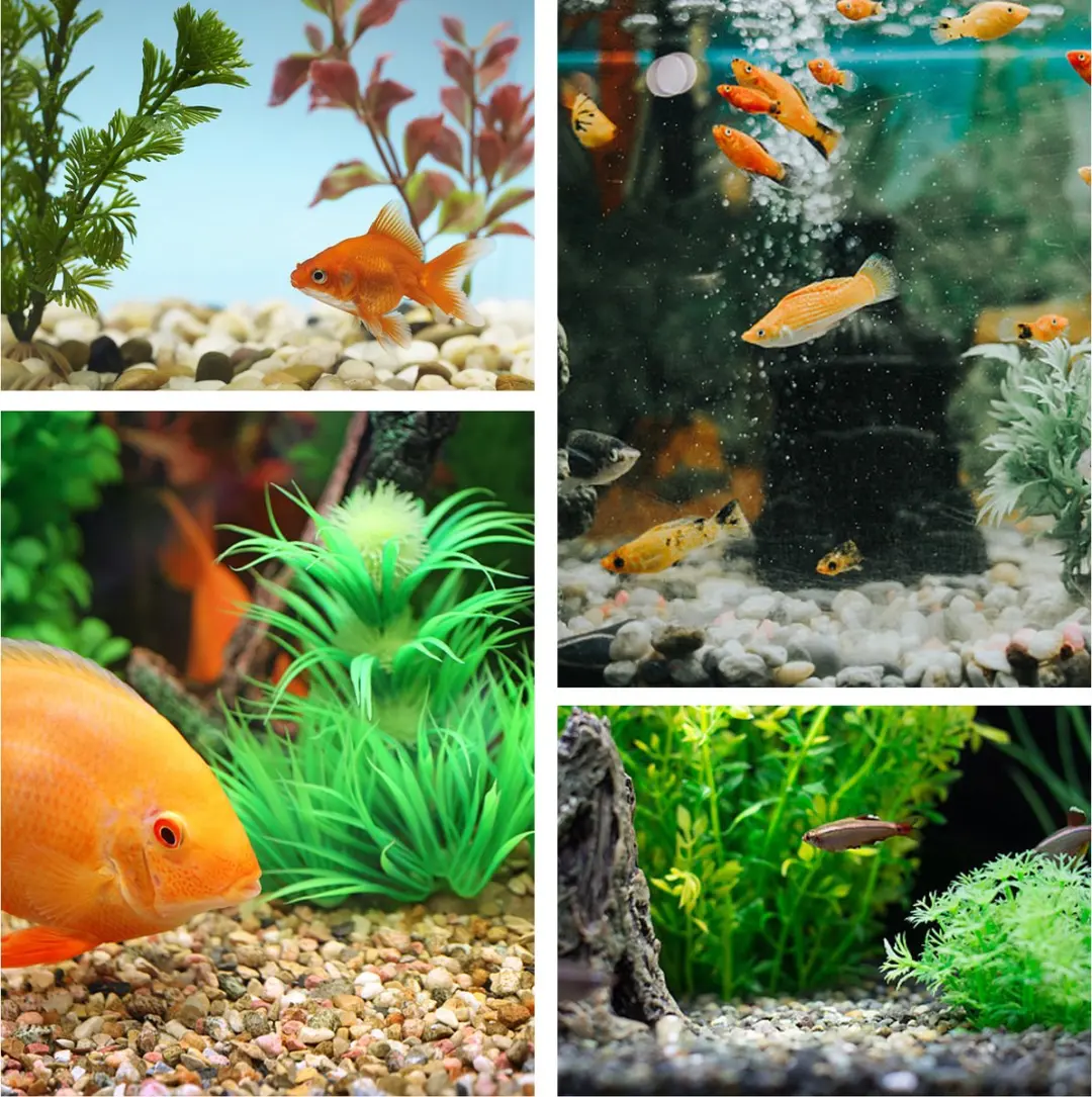 Nobleza Aquarium Bodembedekking Graniet Kiezels - 400g - Kleurenmix