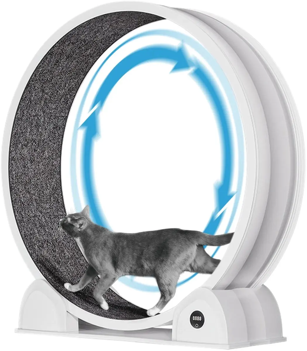 G&G Katten Loopwiel