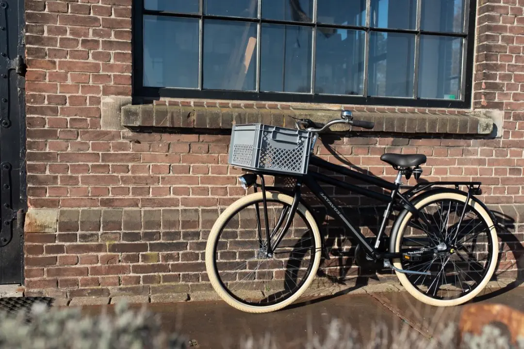 FastRider Fietskrat Medium 22L