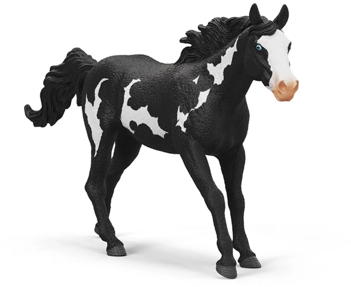 Schleich Horse Club Paint Ruin 14900 - Multicolor