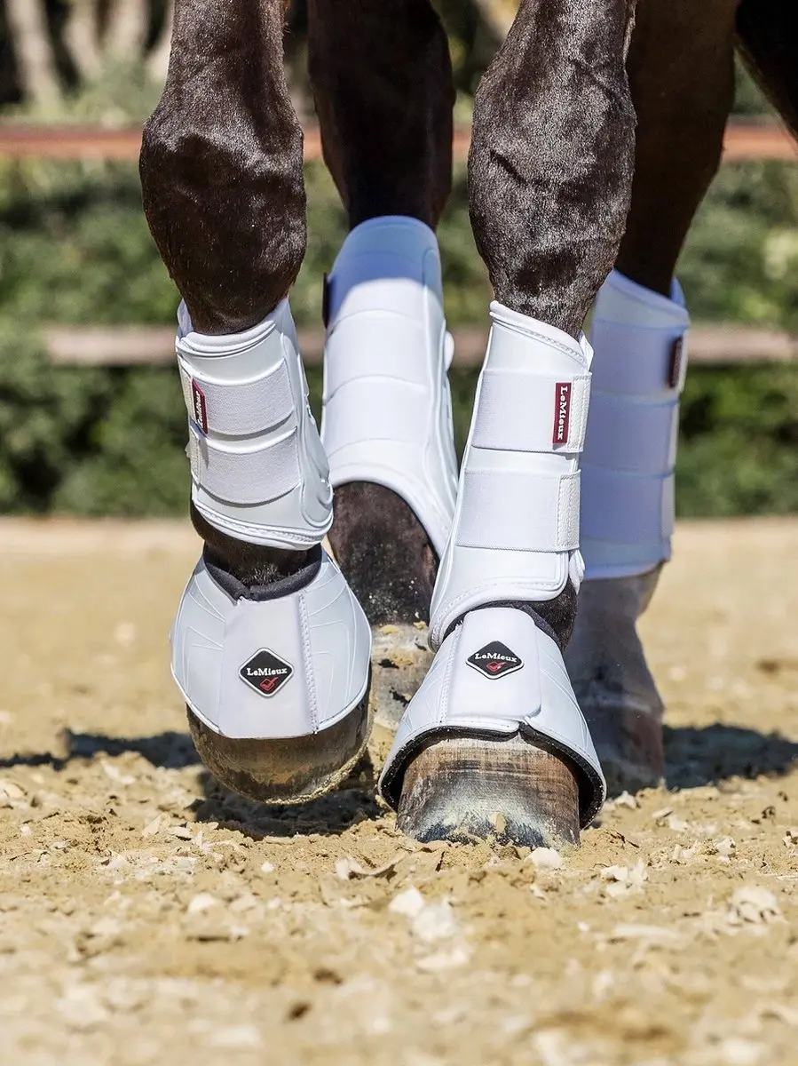 Lemieux Proshell Peesbeschermers XL