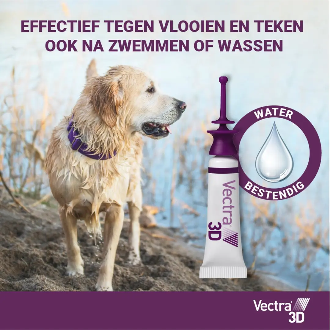 Vectra 3D Hond Anti Teken- en Vlooiendruppels XL - 3 Pipetten