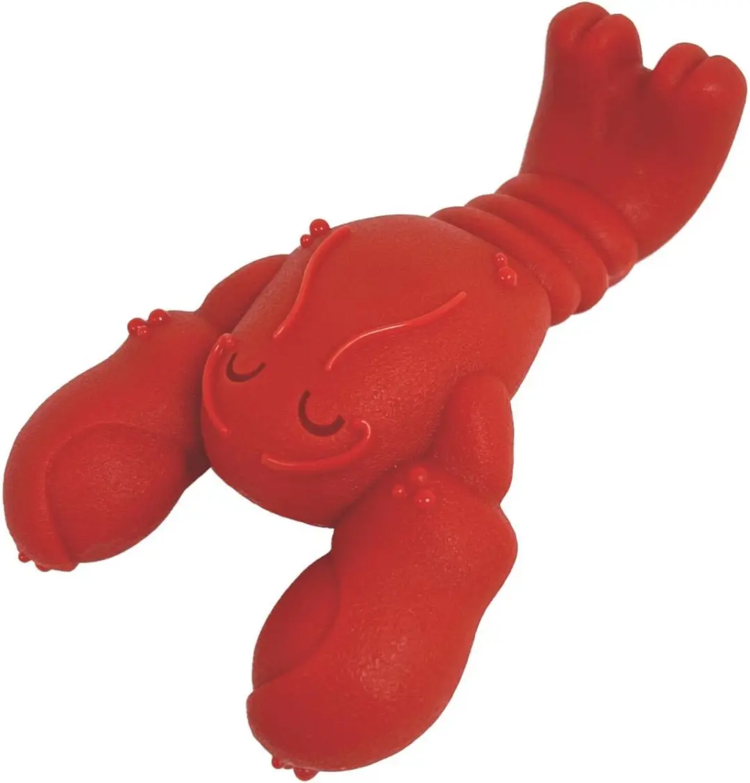 Nylabone Chew Kreeft