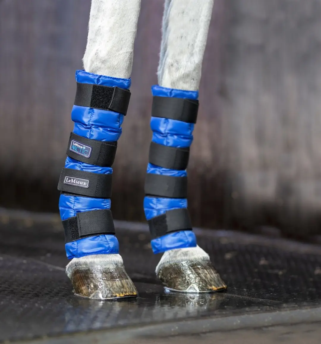 Arctic Ice Boot (Pair) Black