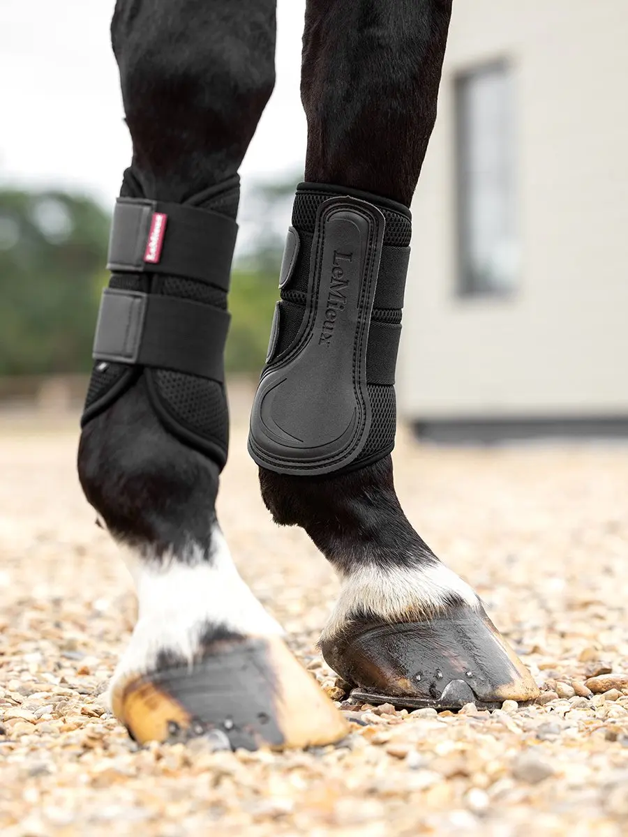 Lemieux Mesh Brushing Boot Beenbeschermers - M - Zwart