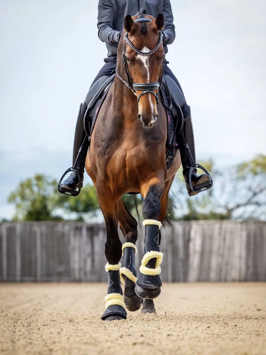 Lemieux Motionflex Springschoenen - Zwart