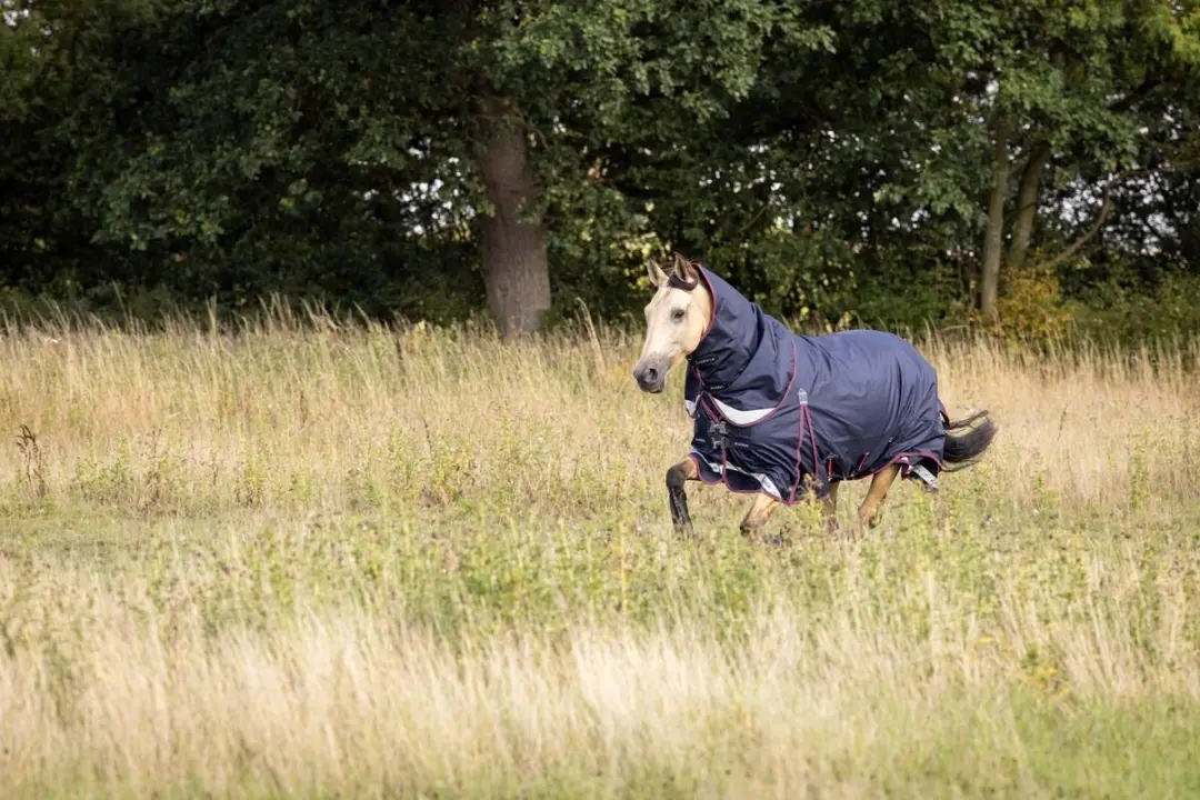 LeMieux Kudos Turnout Paardendeken 215