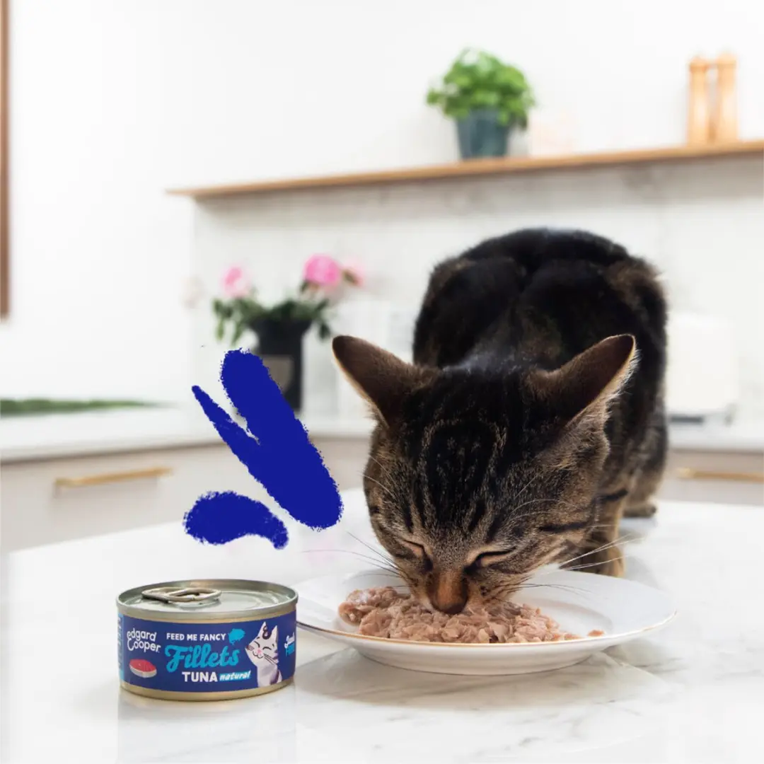 Edgard & Cooper Kattenvoer Fillets Tonijn 70g
