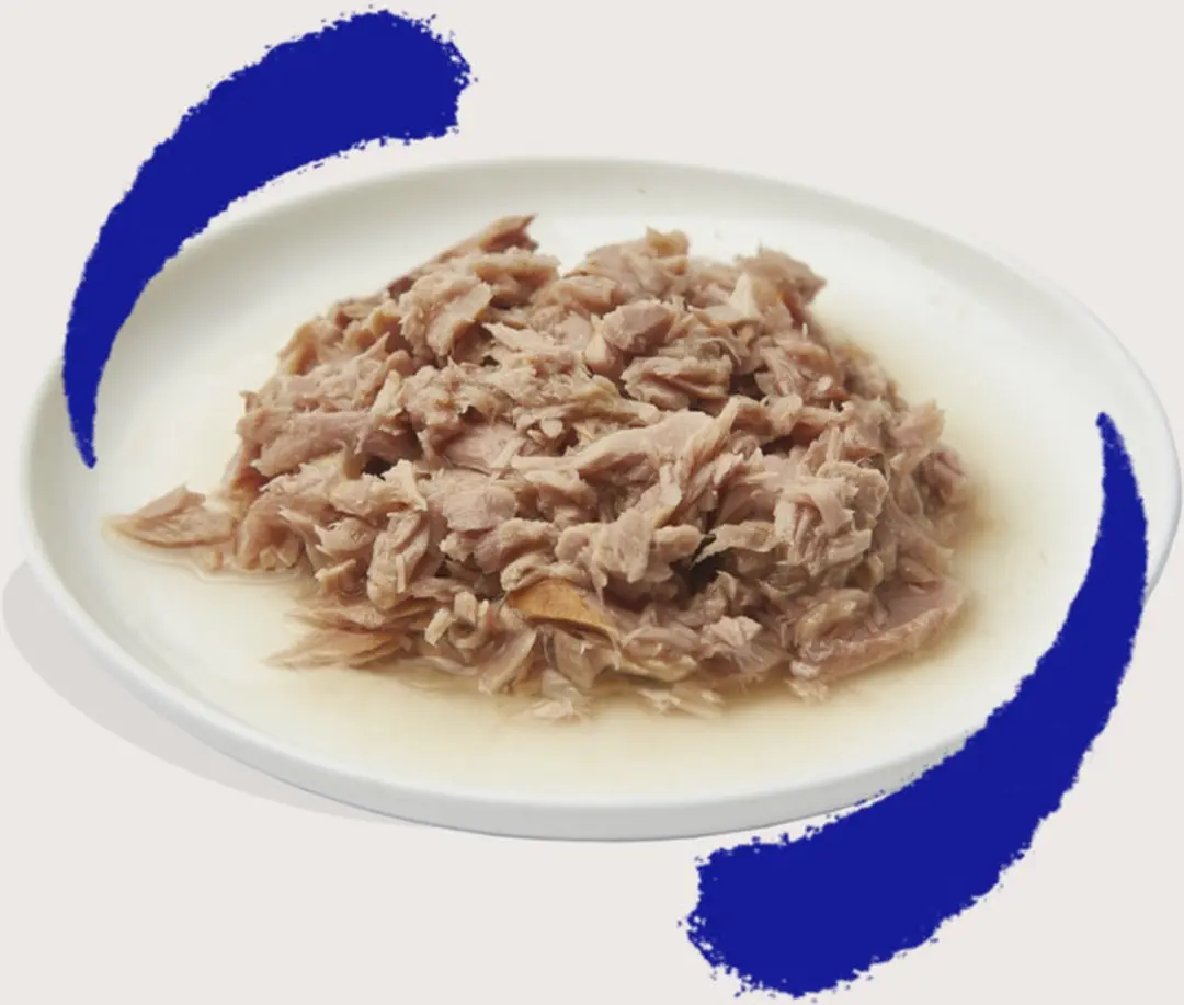 Edgard & Cooper Kattenvoer Fillets Tonijn 70g