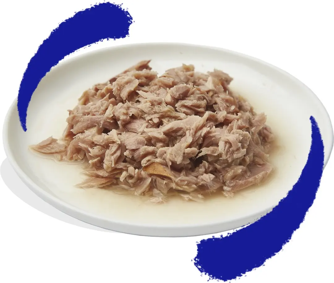 Edgard & Cooper Kattenvoer Fillets Tonijn 70g