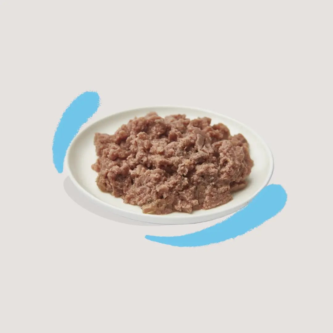 Edgard & Cooper Kitten Pate Kabeljauw - 85g - afbeelding 6 van 6