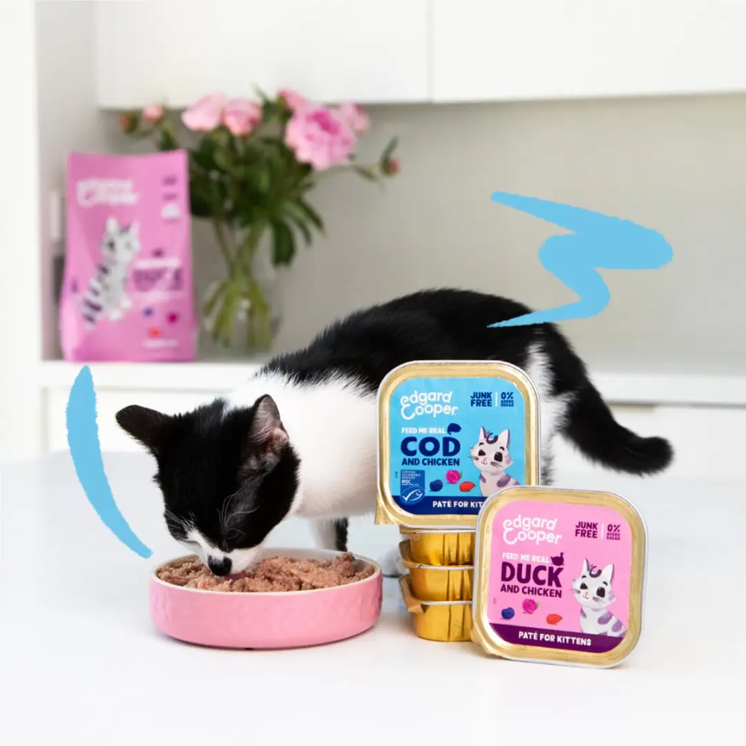 Edgard & Cooper Kitten Pate Kabeljauw - 85g