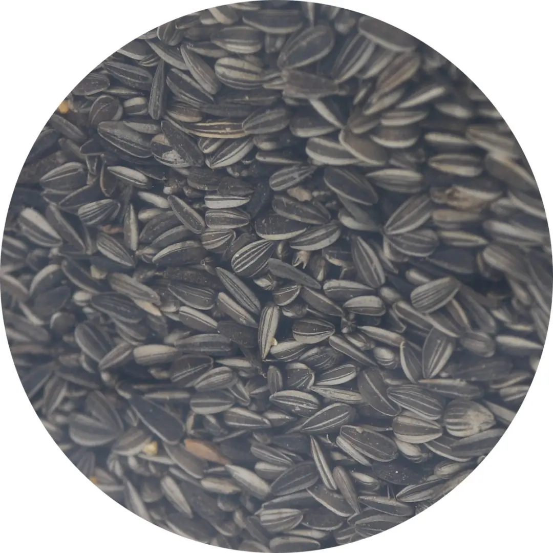 Famiflora Gestreepte Zonnebloempitten 750g - Vogelvoer