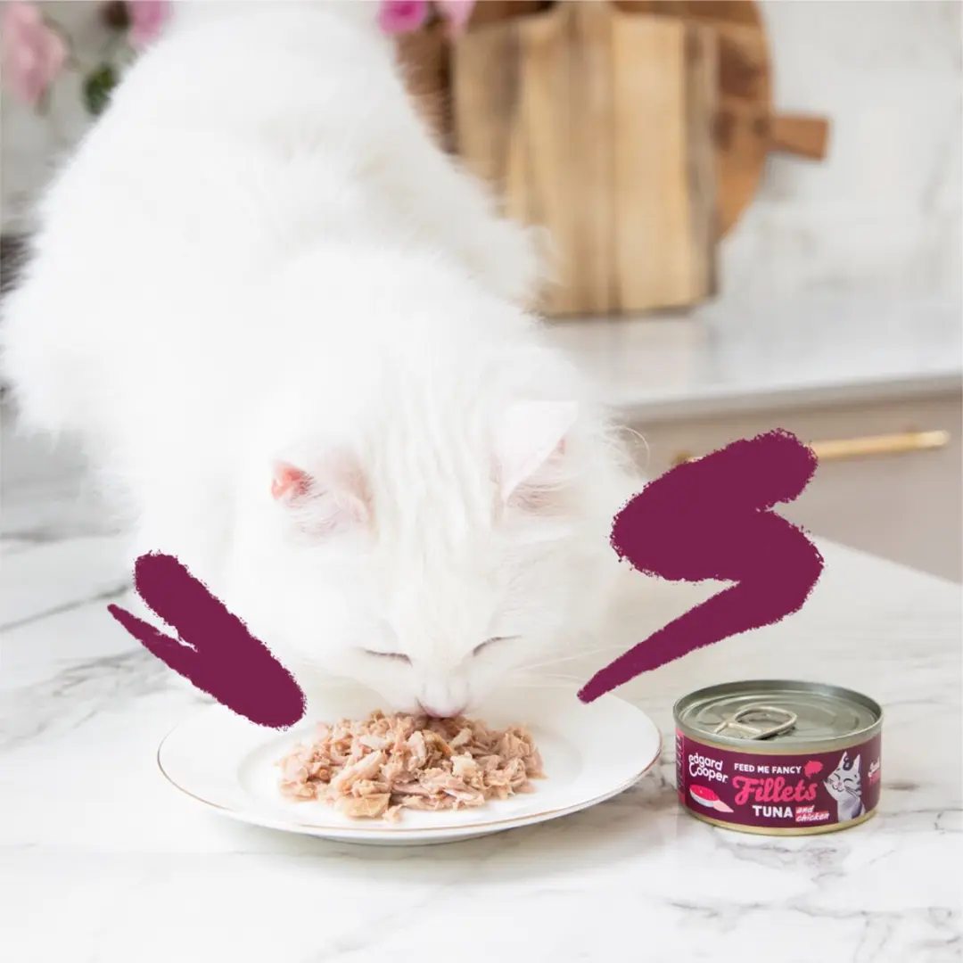 Edgard & Cooper Kattenvoer Fillets Tonijn - Kip 70g