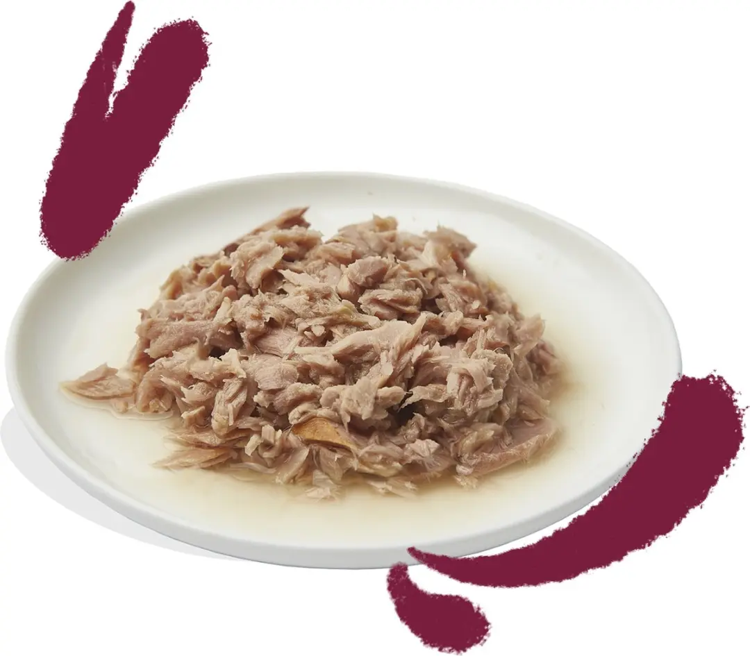 Edgard & Cooper Kattenvoer Fillets Tonijn - Kip 70g