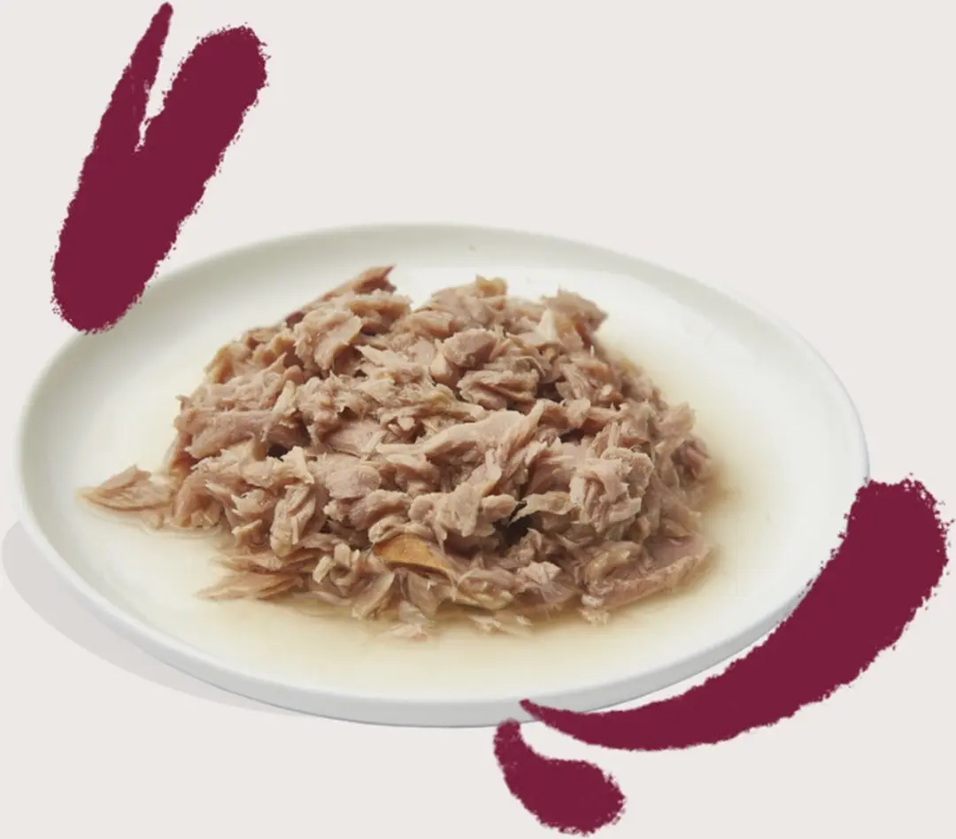Edgard & Cooper Kattenvoer Fillets Tonijn - Kip 70g