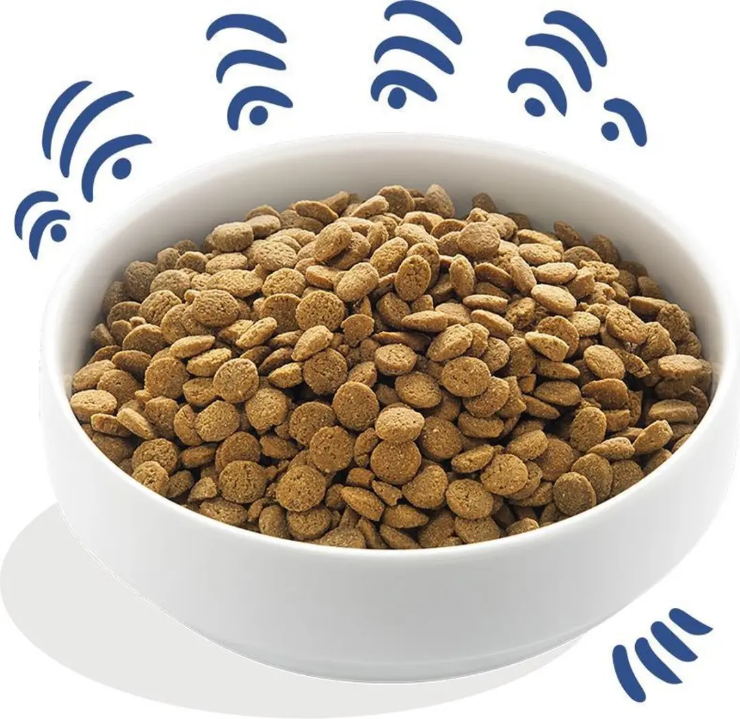 Edgard & Cooper Yummy Salmon Rode Biet Appel Hondenvoer - 2x12kg