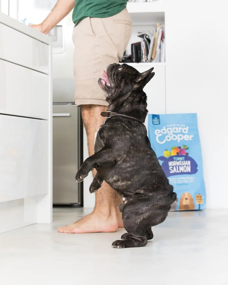 Edgard & Cooper Yummy Salmon Rode Biet Appel Hondenvoer - 2x12kg