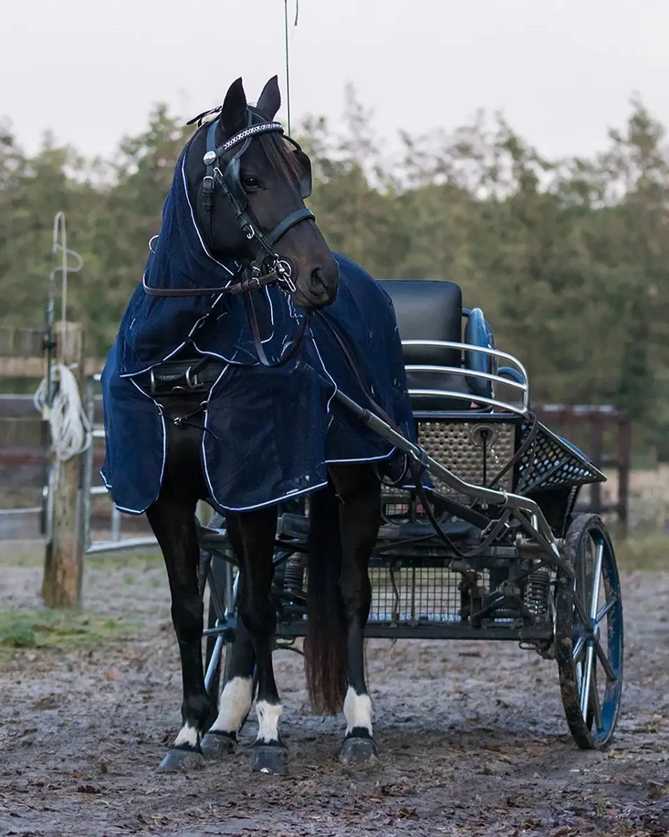 QHP Tuigvliegendeken 135/185cm - Blauw