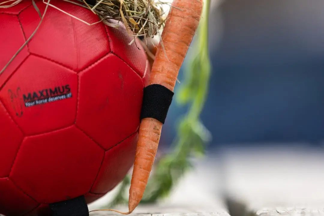 Maximus Fun Play Ball - Groen