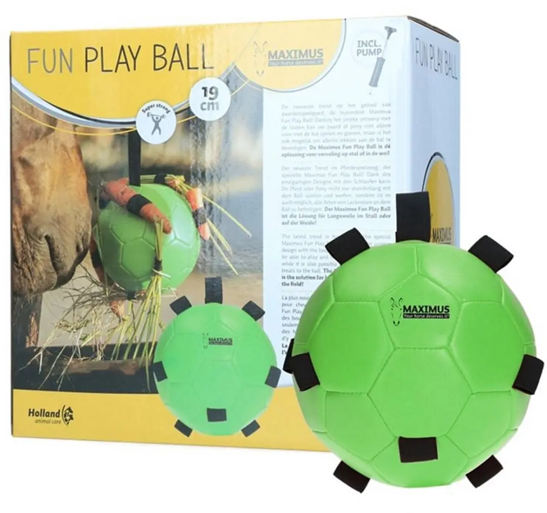 Maximus Fun Play Ball