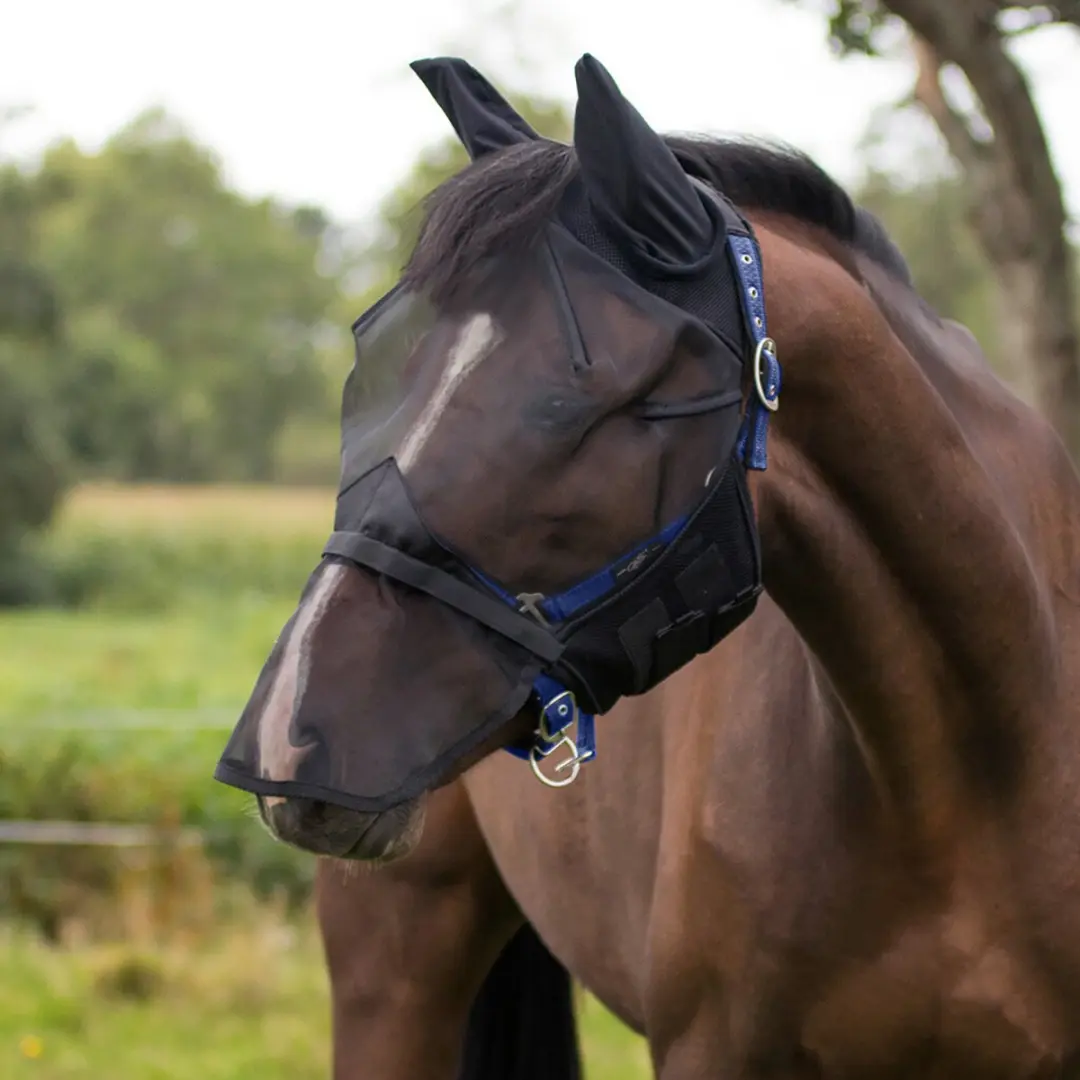 QHP Vliegenmasker Shetlander