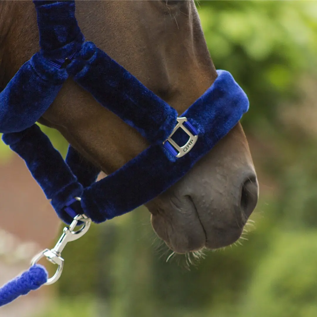 QHP Halster Alaska Cob - Blauw
