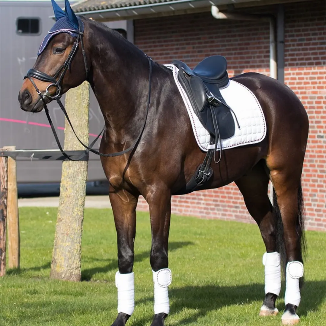 QHP Bandage Patches Flag Wit/Rood/Wit/Blauw
