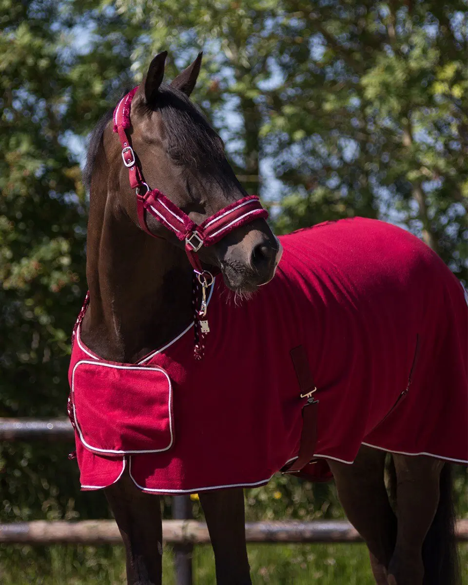 QHP Halsterset Dolci Rood-zilver - Full