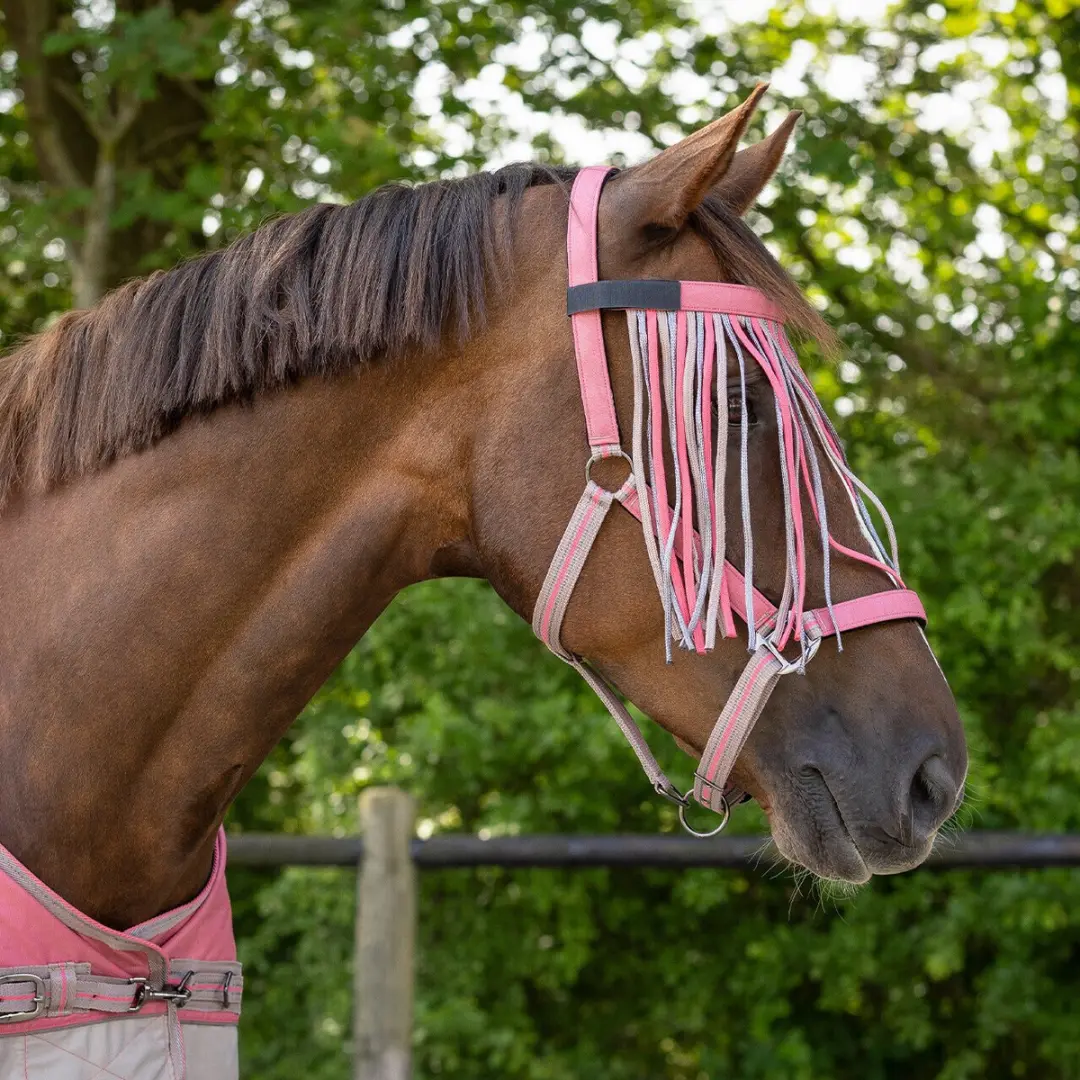 QHP Frontal Vliegenmasker Pony - afbeelding 6 van 6