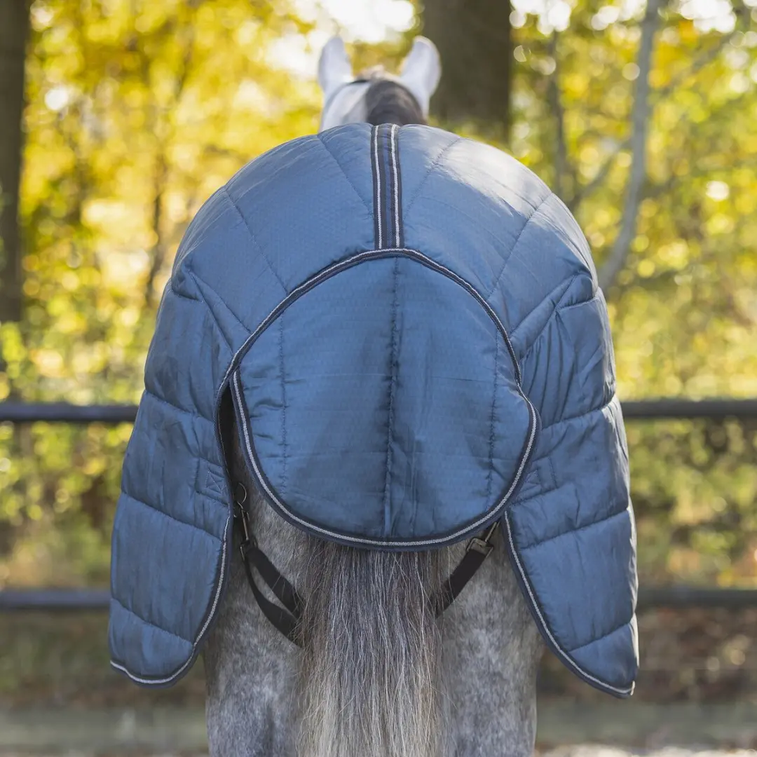 QHP Start Collection Paardendeken 200g - 165cm - Blauw - afbeelding 2 van 6
