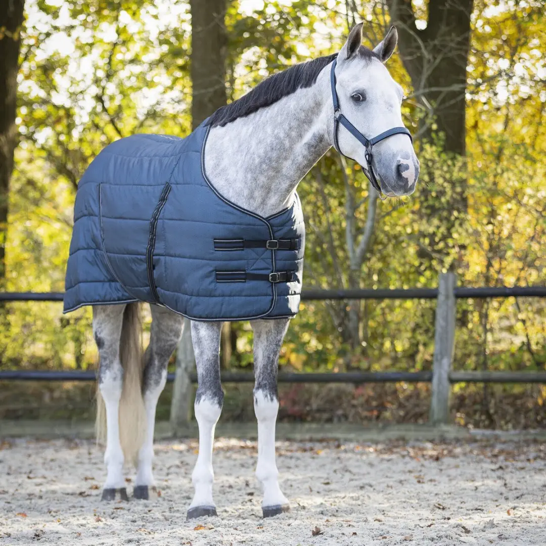 QHP Start Collection Paardendeken 200g - 165cm - Blauw - afbeelding 6 van 6