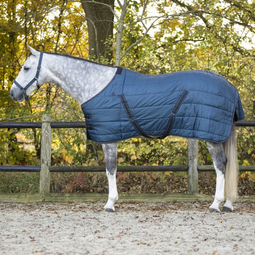Paardendeken QHP Start Collection 200g