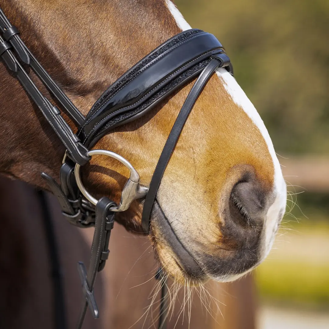 QHP Skye Hoofdstel - Full - Zwart