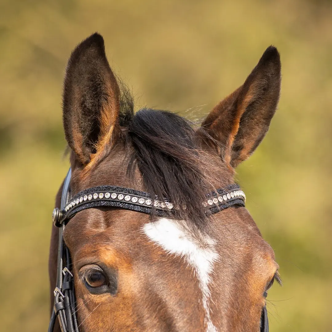 QHP Skye Hoofdstel - Full - Zwart