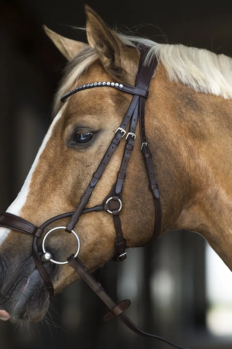Horsegear Aquila Deluxe Hoofdstel - Full - Bruin