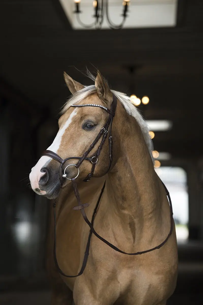 Horsegear Aquila Deluxe Hoofdstel - Full - Bruin