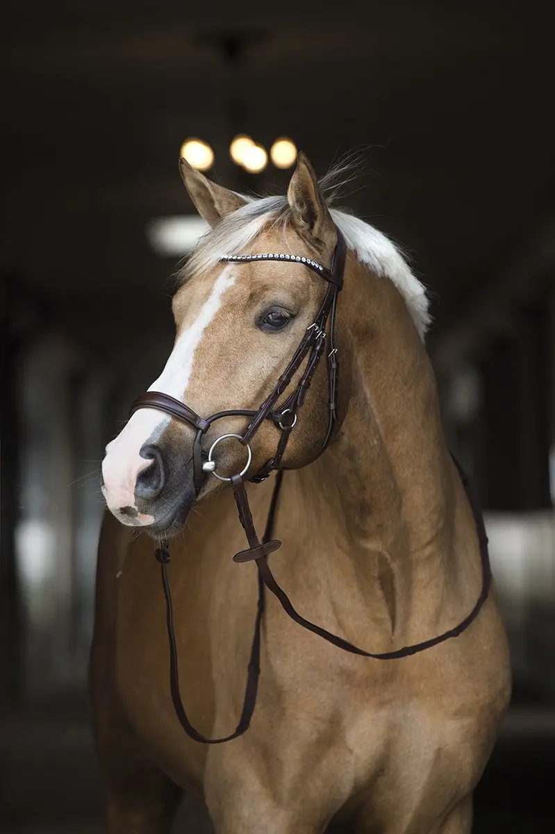 Horsegear Aquila Deluxe Hoofdstel - Full - Bruin