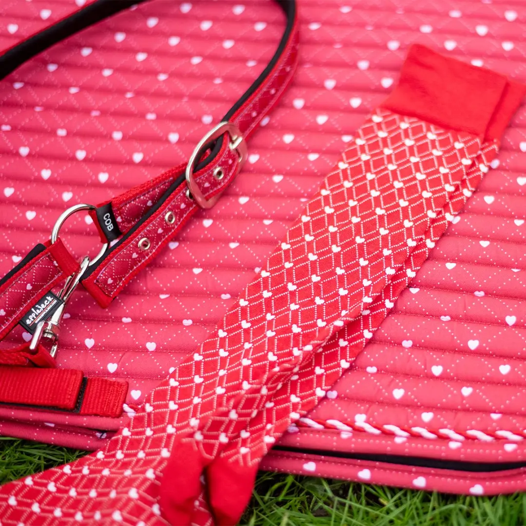 Epplejeck Ejvalentine Sokken - Rood