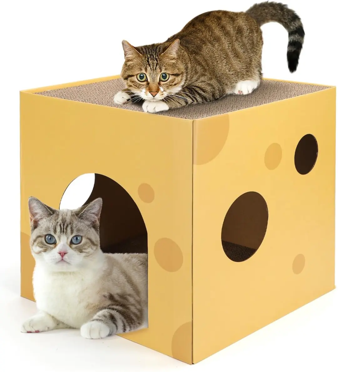 Nobleza 2-in-1 kattenhuis van karton
