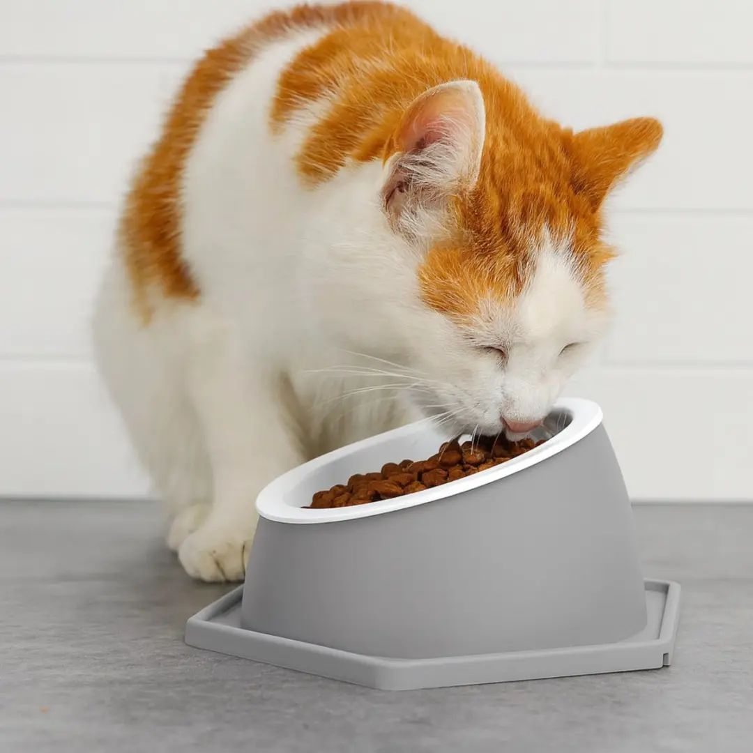 Nobleza Verhoogde Kattenvoerbak 14cm - Grijs