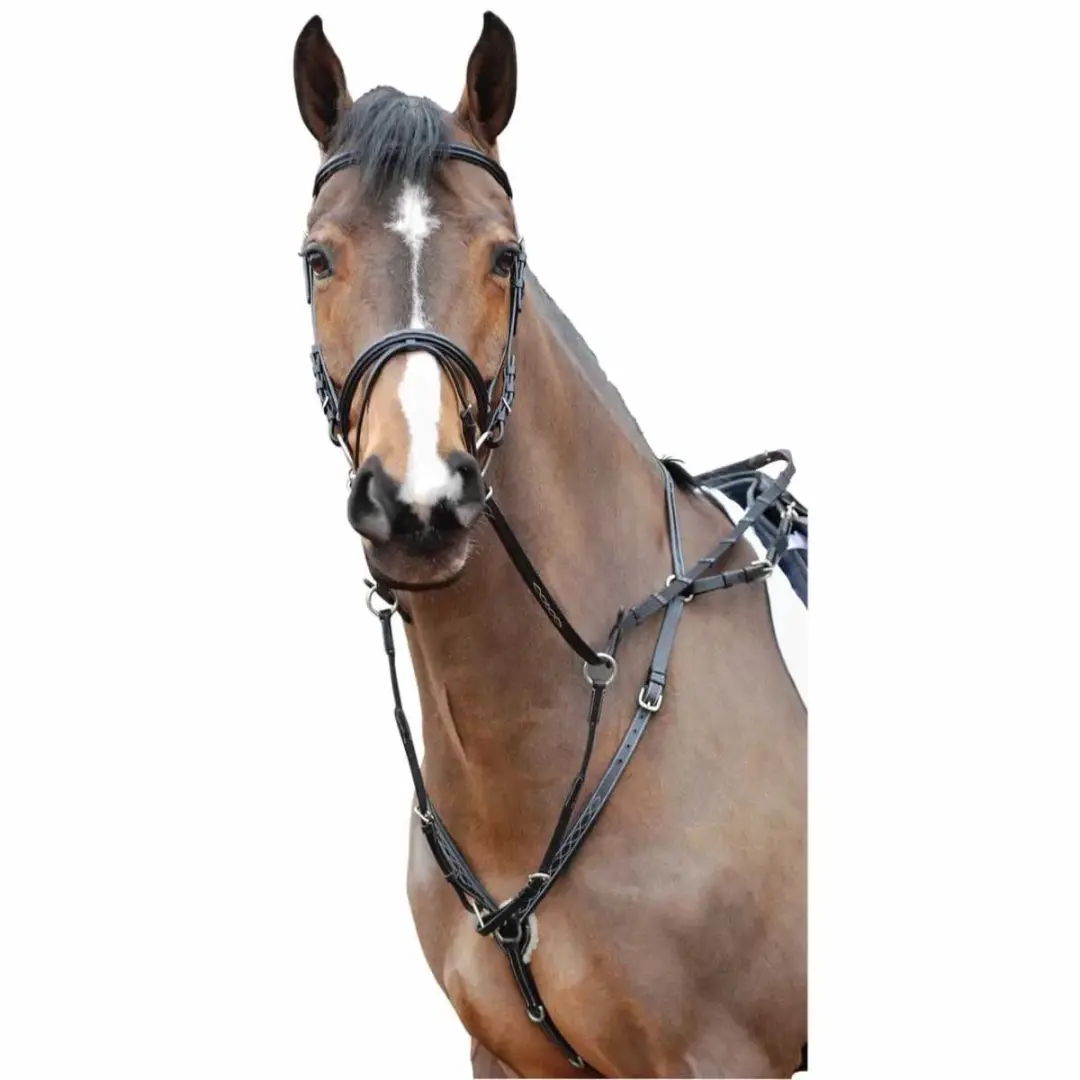 Rössner Benodet Voortuig Pony - Zwart Leer