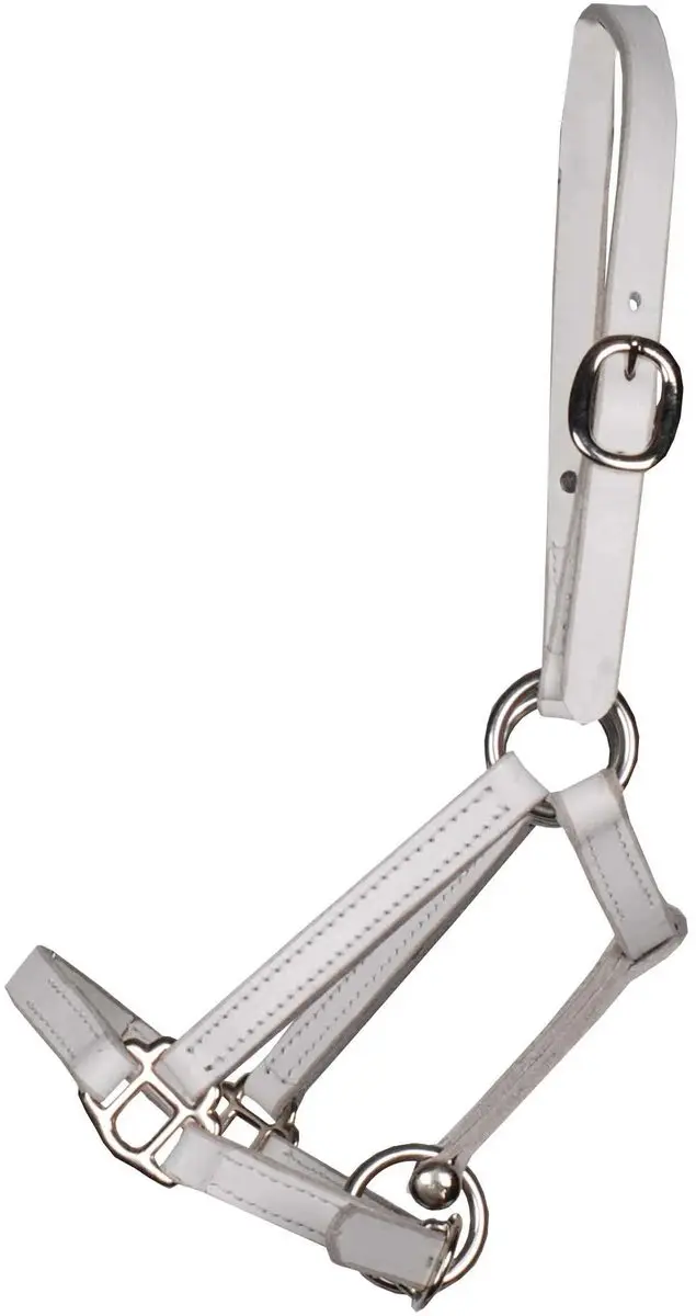 Pagony Shetland Showhalster XS - Wit
