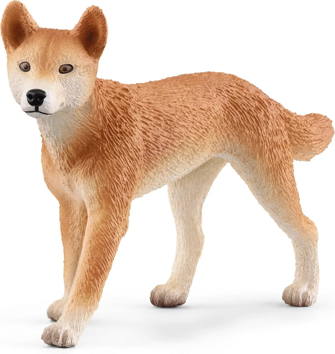 Schleich WILD LIFE Avontuur in de Outback 42550 - Meerkleurig