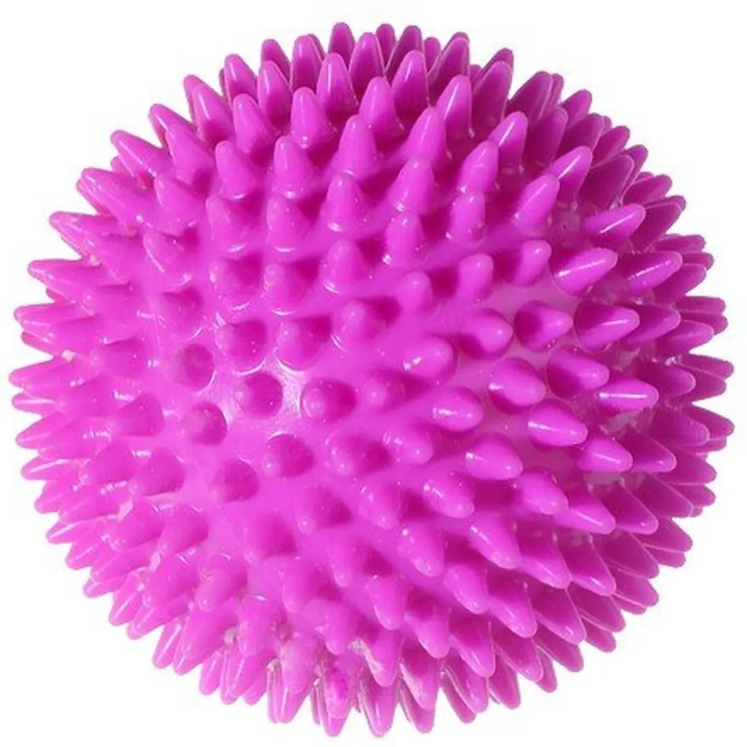 Nobleza Egelbal voor Honden