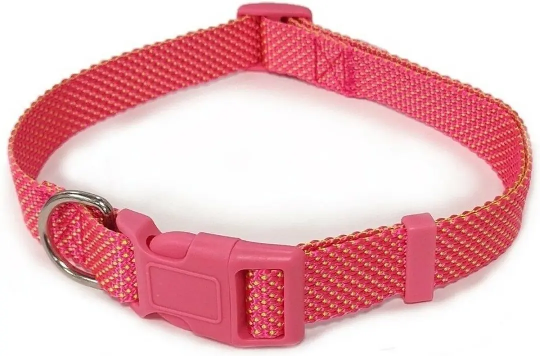 Nobleza Hondenhalsband